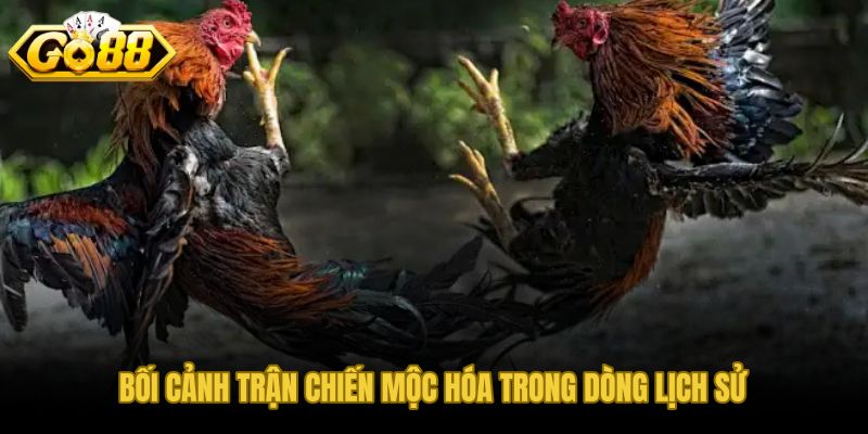 Trận chiến Mộc Hóa và điểm tựa cảm xúc địa phương sâu sắc