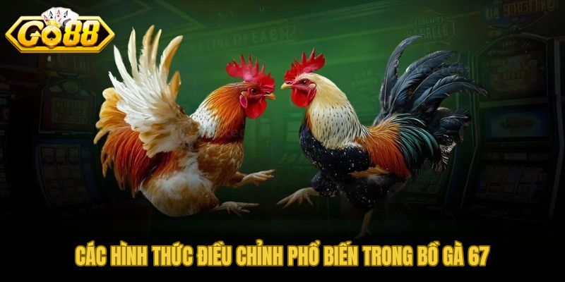 Hình thức điều chỉnh bồ gà 67 theo từng nhóm quy ước tại GO88