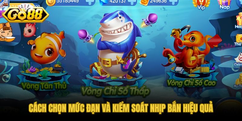 Mẹo quản lý xu hiệu quả - cỡ đạn hợp lý và nhịp bắn kiểm soát tốt