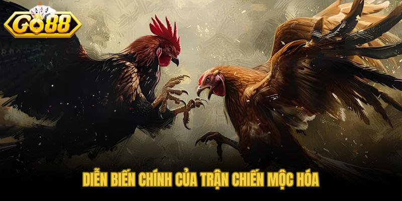 Nhịp đấu tăng dần và các cao trào bùng phát liên tiếp
