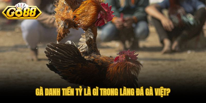 Gà danh tiền tỷ và danh xưng cộng đồng sư kê công nhận qua thời gian