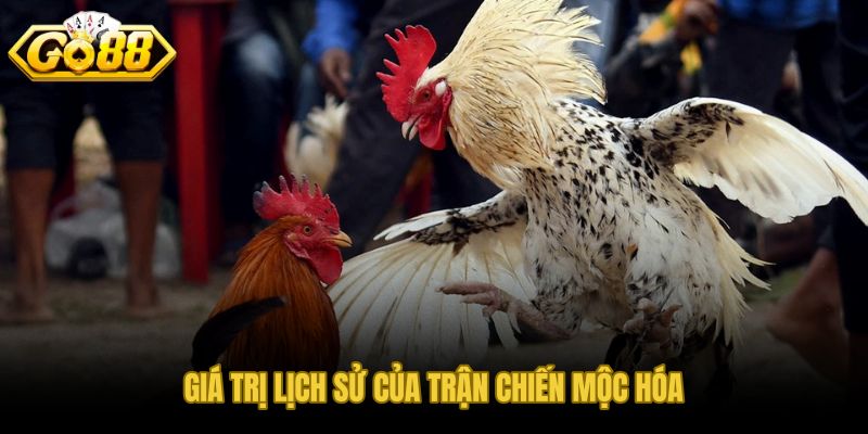 Địa danh Mộc Hóa và sức nặng ký ức ghi nhớ lâu dài