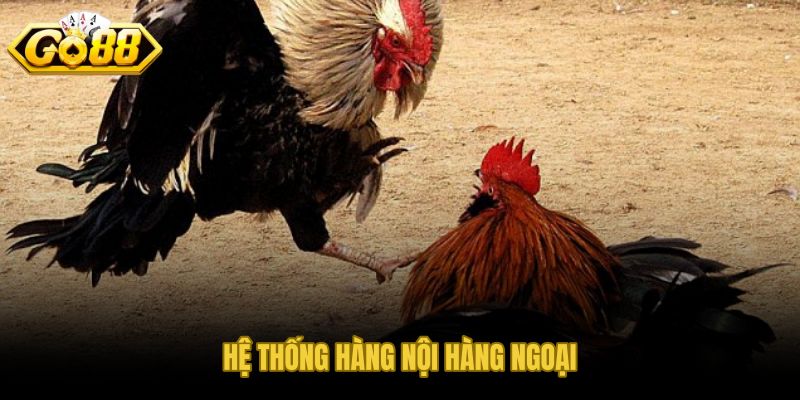Hai trục hàng nội hàng ngoại khi xem vảy kê chọi chuẩn xác