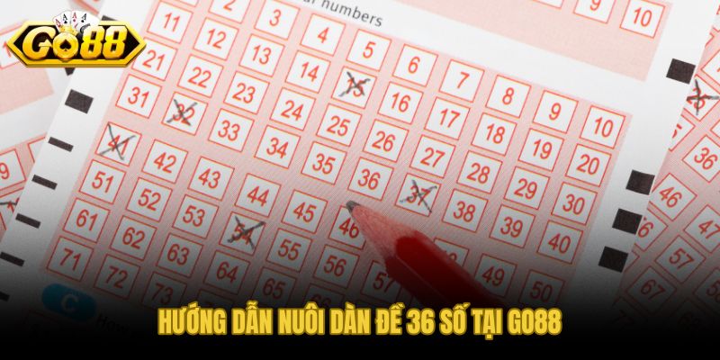 Lộ trình nuôi dàn đề 36 số tại GO88 với hạn mức và điểm dừng rõ ràng