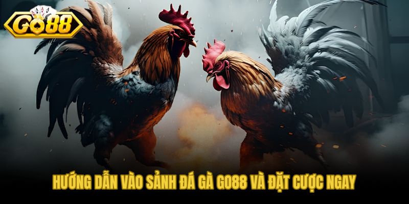 Các bước vào sảnh đá gà GO88 đặt cược nhanh dưới 90 giây