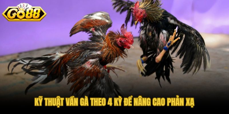 Kỹ năng nuôi dưỡng chiến kê qua 4 kỳ vần kiểm soát phong độ đúng thời điểm