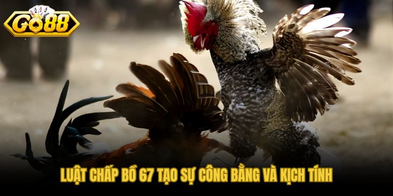 Luật chấp bồ 67 tạo công bằng và kịch tính qua quy ước điều chỉnh minh bạch