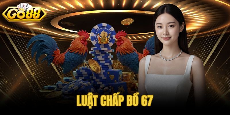Luật Chấp Bồ 67