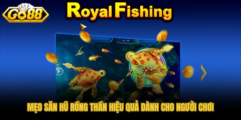 Săn Hũ Rồng Thần với quản lý vốn theo ngưỡng dừng lỗ 30%