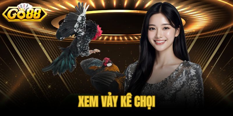 Xem Vảy Kê Chọi